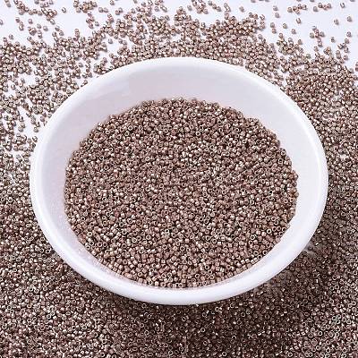 MIYUKI Delica Beads SEED-MY11-DB1157-1