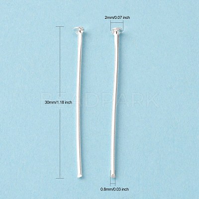 Iron Flat Head Pins HPS3.0cm-1