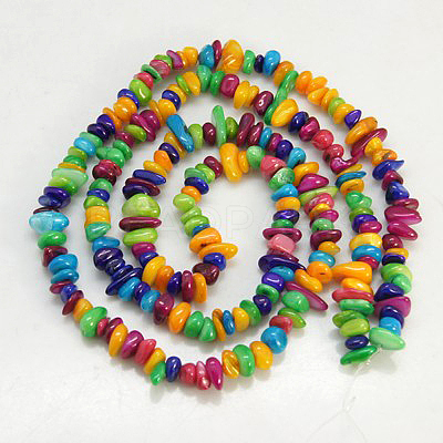 Natural Shell Beads Strands BSHE-D004-2-1