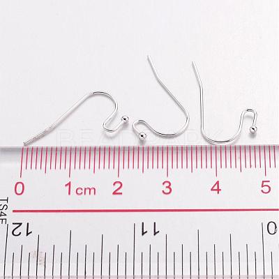 Brass Earring Hooks J0JQN-S-1