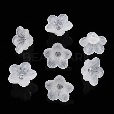 Transparent Acrylic Beads PL554-A-1