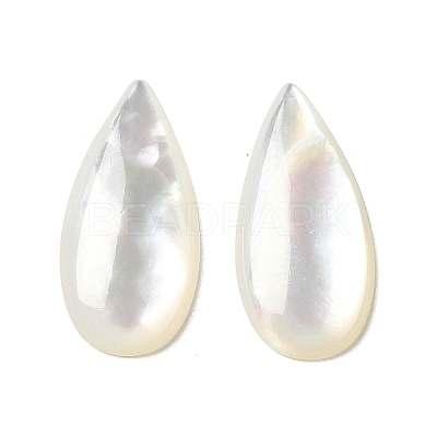 Natural White Shell Cabochons SSHEL-M022-04-1