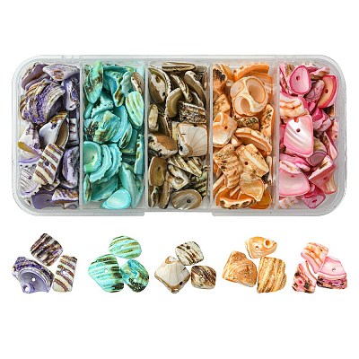 125G 5 Colors Natural Shell Bead Strands BSHE-FS0001-06A-1