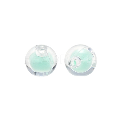 Transparent Acrylic Beads TACR-S135-002B-1