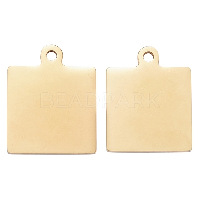 304 Stainless Steel Pendants STAS-I140-23B-G-1