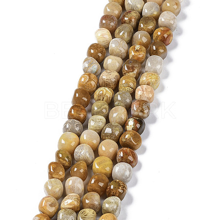 Natural Fossil Coral Beads Strands G-C038-02T-1