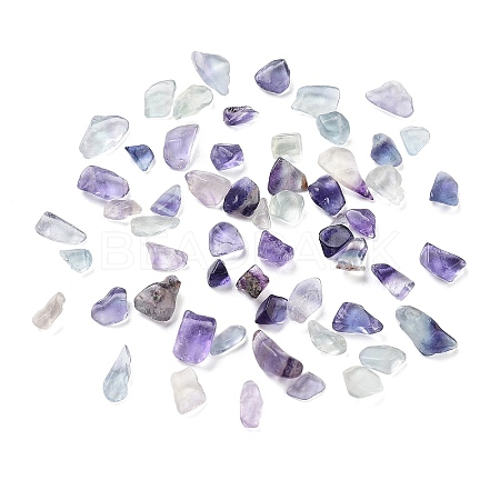 Natural Fluorite Beads G-L491-03-1