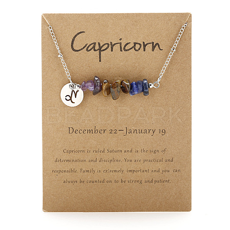 Natural Amethyst & Tiger Eye & Sodalite Chip & Alloy Constellation Pendant Necklaces WGB0CBC-05-1