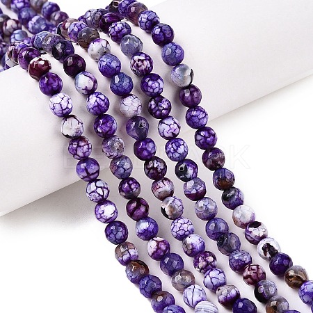 Natural Crackle Agate Beads Strands G-T119-01A-05-1