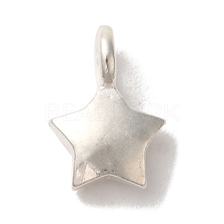 925 Sterling Silver Charms LS-FIND-U013-06S-02-1