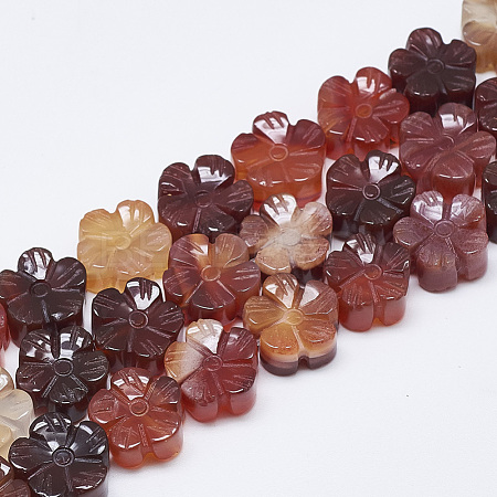 Carved Natural Carnelian Beads Strands G-T122-08E-1