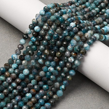 Natural Apatite Beads Strands LS-G-A276-C08-4mm-01-1