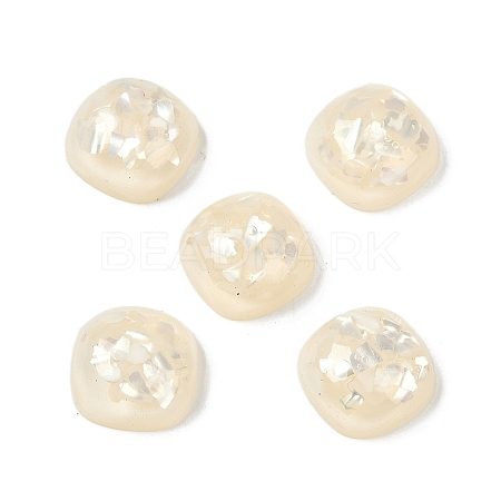 Translucent Epoxy Resin & Shell Decoden Cabochons CRES-S367-02-1