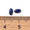 Natural Lapis Lazuli Cabochons G-F772-01A-07-3