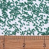 MIYUKI Delica Beads X-SEED-J020-DB0656-4