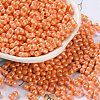 Glass Seed Beads SEED-L011-04A-04-1