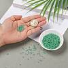 8/0 Glass Seed Beads SEED-A015-3mm-2218-5
