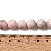 Natural Pink Zebra Jasper Beads Strands G-P231-01-10mm-9