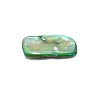 Natural Shell Beads BSHE-WH0001-06-3
