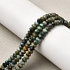 Natural African Turquoise(Jasper) Beads Strands G-F717-02B-01-5