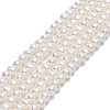 Natural Cultured Freshwater Pearl Beads Strands PEAR-F018-07-01-1