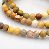 Natural Crazy Agate Round Beads Strands G-N0120-16-4mm-1