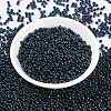 MIYUKI Round Rocailles Beads X-SEED-G008-RR0452-3