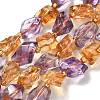 Natural Citrine & Amethyst Beads Strands G-H074-C01-03-1