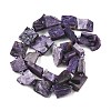 Natural Charoite Beads Strands G-D101-B17-3