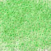 12/0 Transparent Glass Seed Beads X-SEED-F003-03C-13-3