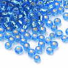 15/0 Silver Lined Glass Seed Beads SEED-Q025-1.5mm-C04-2