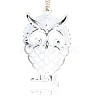 Antique Silver Plated Alloy Rhinestone Owl Big Pendants PALLOY-N0071-01-2