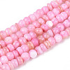 Natural Freshwater Shell Dyed Beads Strands SHEL-T020-29A-06-1