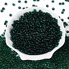 FGB Transparent Glass Seed Beads SEED-N013-01A-06-2