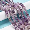 Natural Lepidolite/Purple Mica Stone Beads Strands X-G-P497-03A-06-4