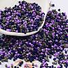 Baking Paint Glass Seed Beads X-SEED-S042-05B-54-1