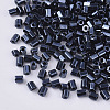 8/0 Two Cut Glass Seed Beads SEED-S033-03A-03-2