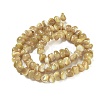 Natural Trochus Shell Beads Strands BSHE-G039-01A-2