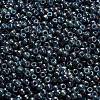 TOHO 6/0 Round Beads SEED-TR06-1208-4