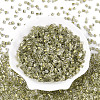 Transparent Inside Colours Glass Seed Beads SEED-T007-13O-1