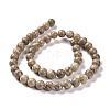 Natural Maifanite/Maifan Stone Beads Strands G-I187-4mm-01-5
