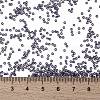 MIYUKI Round Rocailles Beads X-SEED-G009-RR2447-3