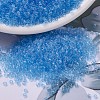 MIYUKI Delica Beads SEED-J020-DB0706-1
