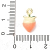 Alloy Enamel Pendants AL-CBA24A7-01G-10-3