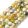 Dyed & Heated Natural Fire Crackle Agate Beads Strands G-P539-B01-16-1