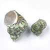 Conch Shell Beads SSHEL-S258-36-2