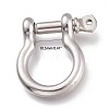 Tarnish Resistant 304 Stainless Steel D-Ring Anchor Shackle Clasps STAS-Z017-15P-01-2