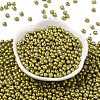6/0 Glass Seed Beads X1-SEED-L011-08A-18-2