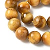 Natural Tiger Eye Beads Strands G-G544-12mm-01-4