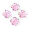 Transparent Resin Cabochons CRES-N030-001B-04-1